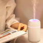 H2O LED Cool Mist Humidifier